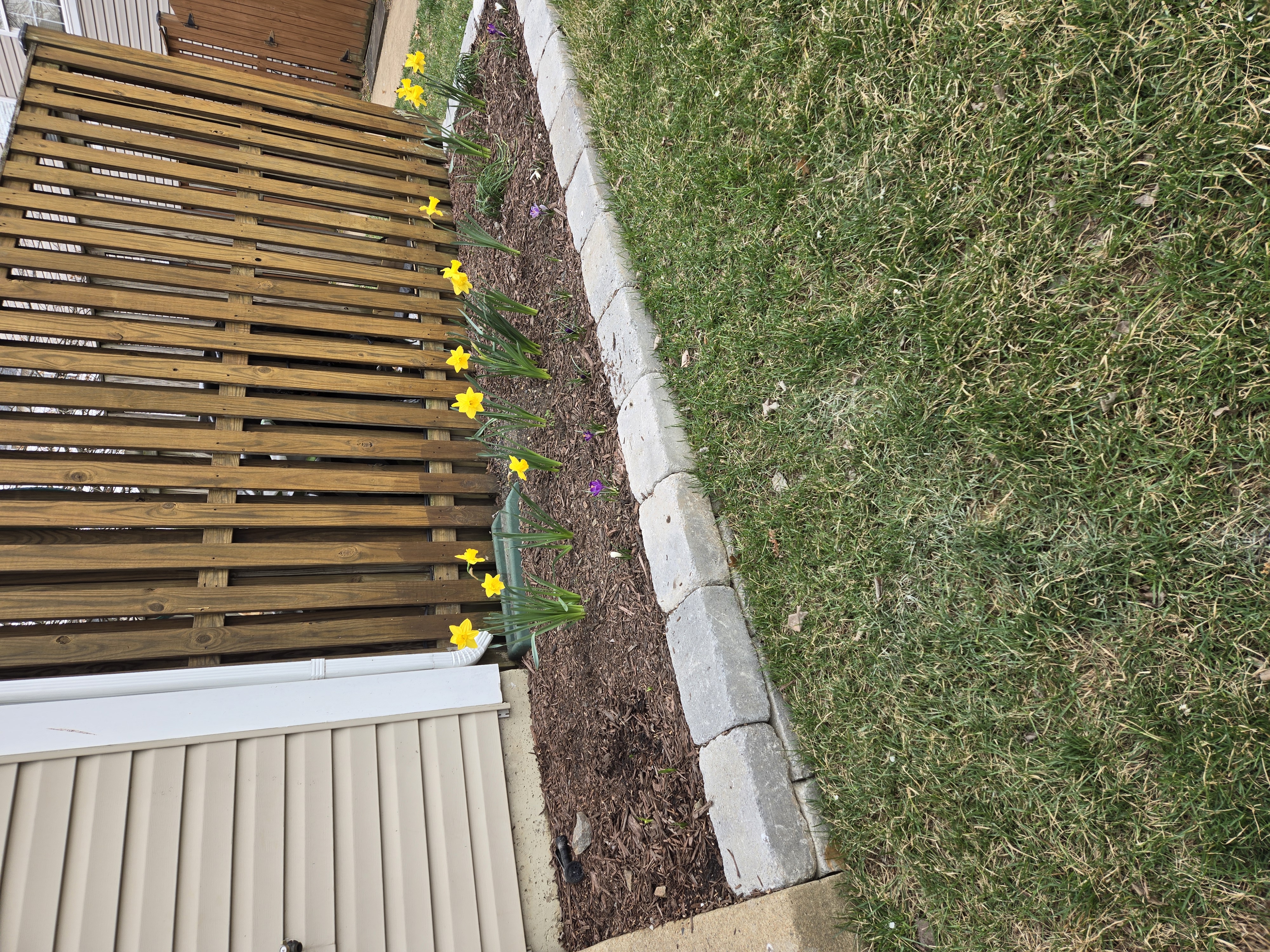 After (alternate) - townhouse wall