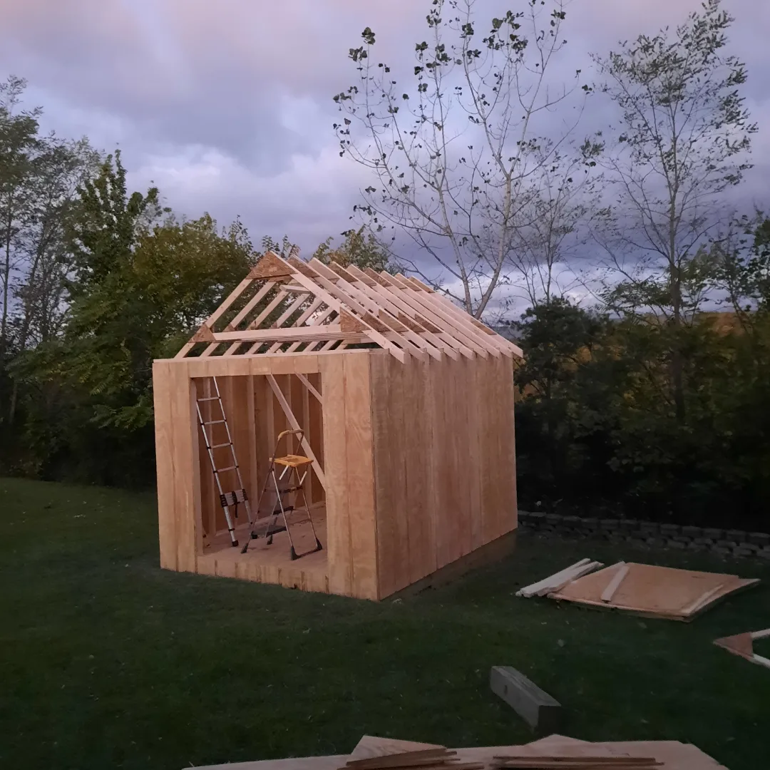Framing - mom's shed