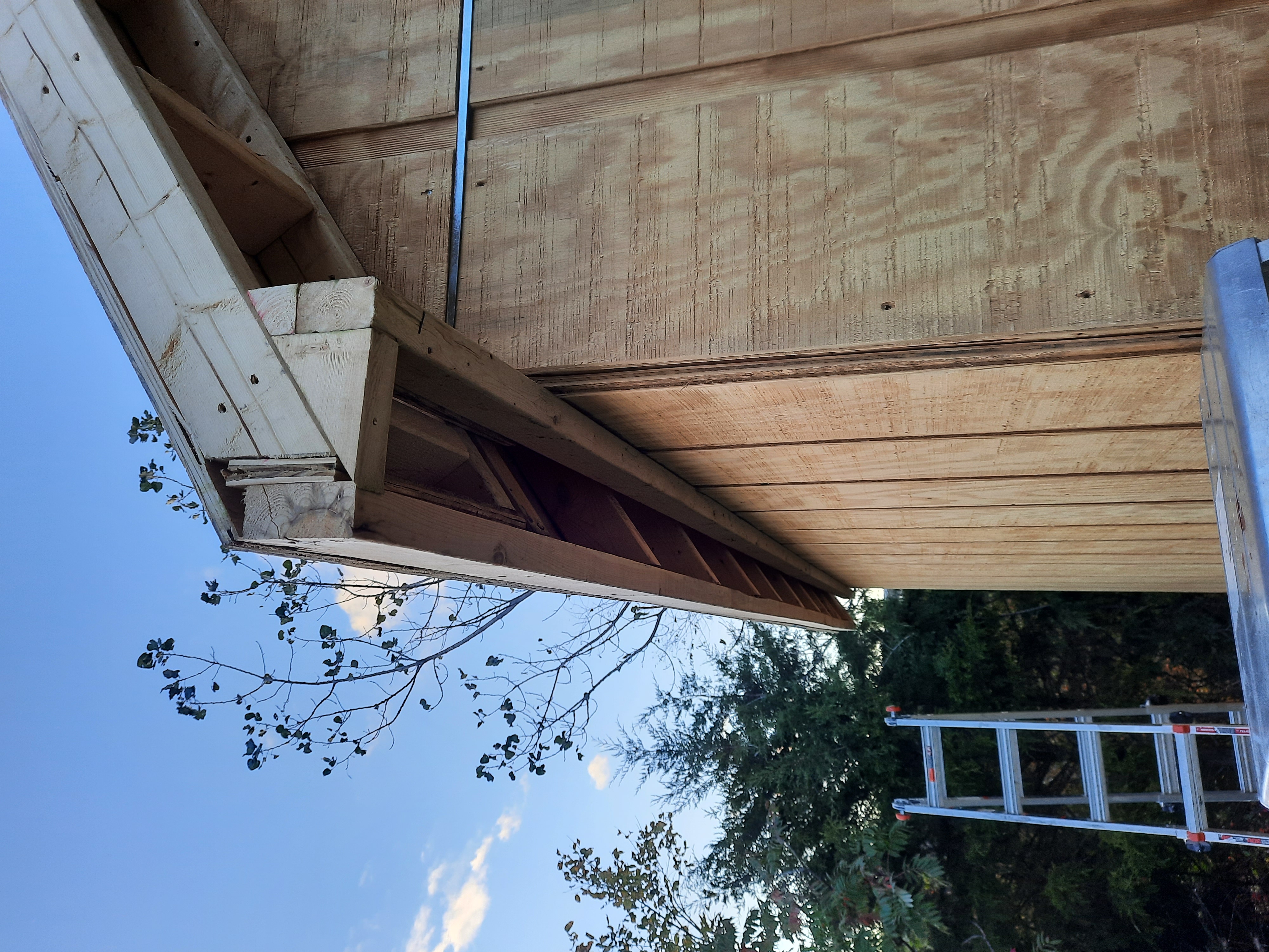 Roof detail - mom's shed