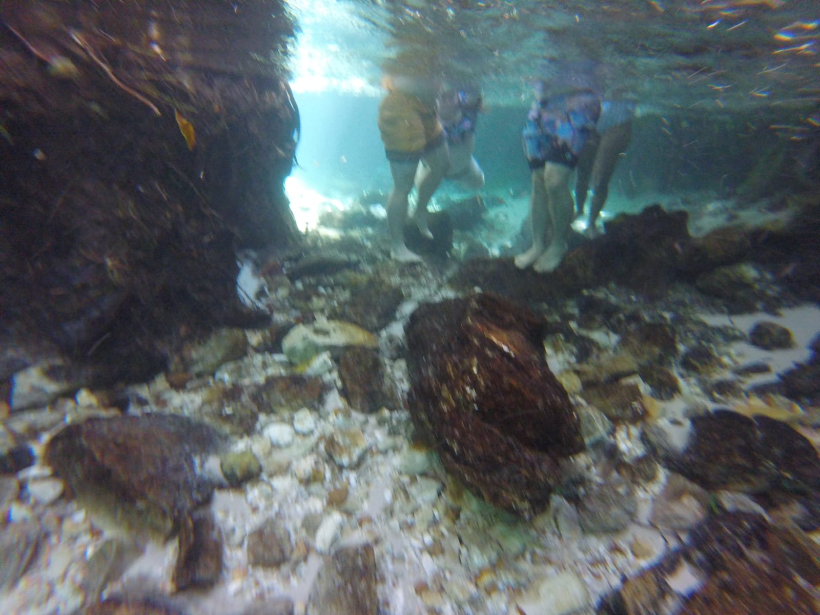 Clear water during our Jalapão expedition