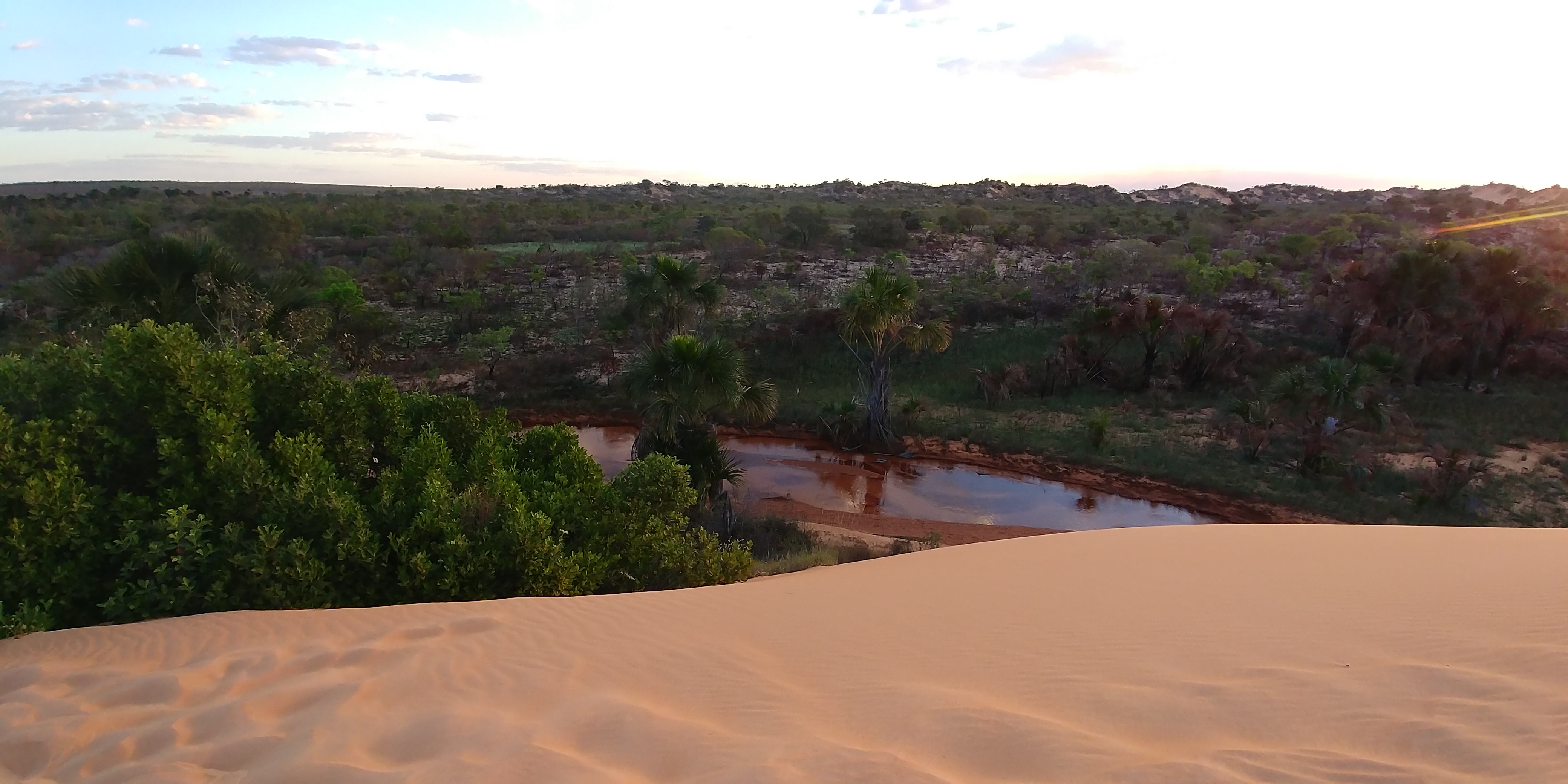 Sand dunes surrounded by Cerrado vegetation in Jalapão