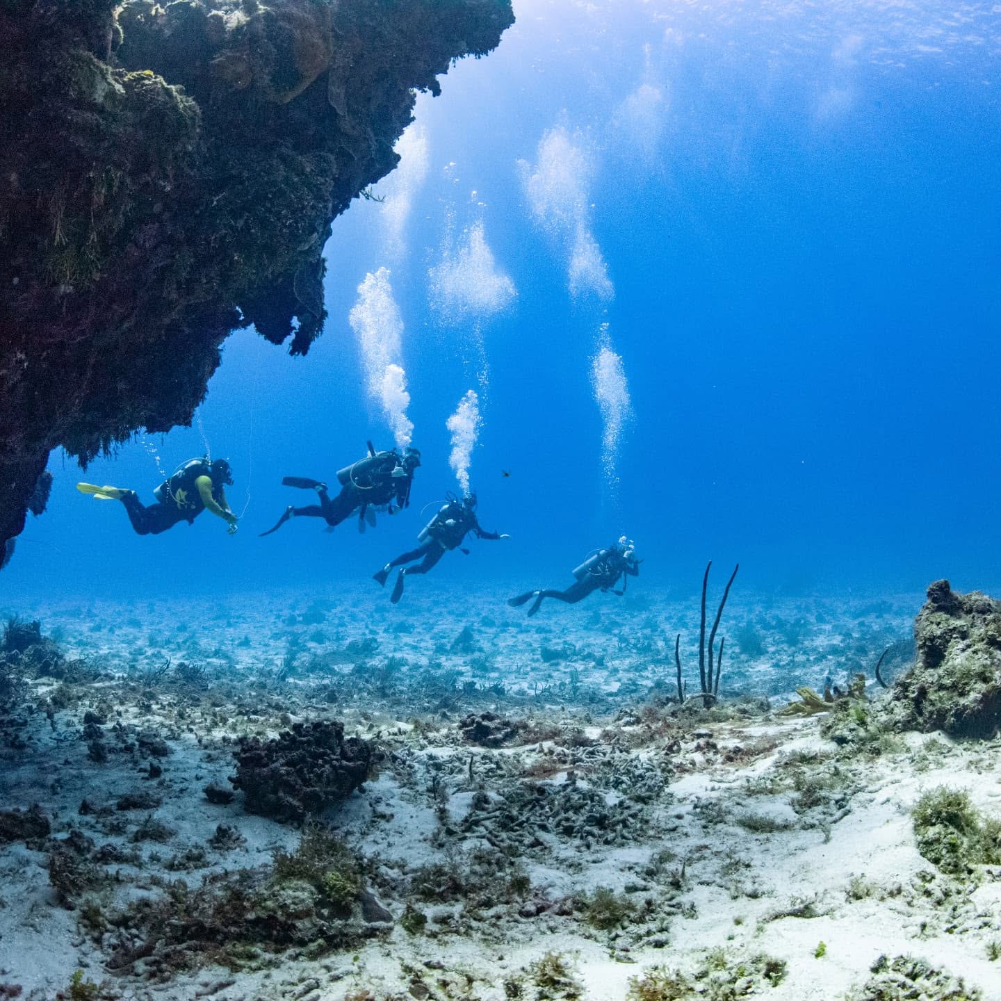 Scuba diving above a coral reef in Cozumel, Mexico