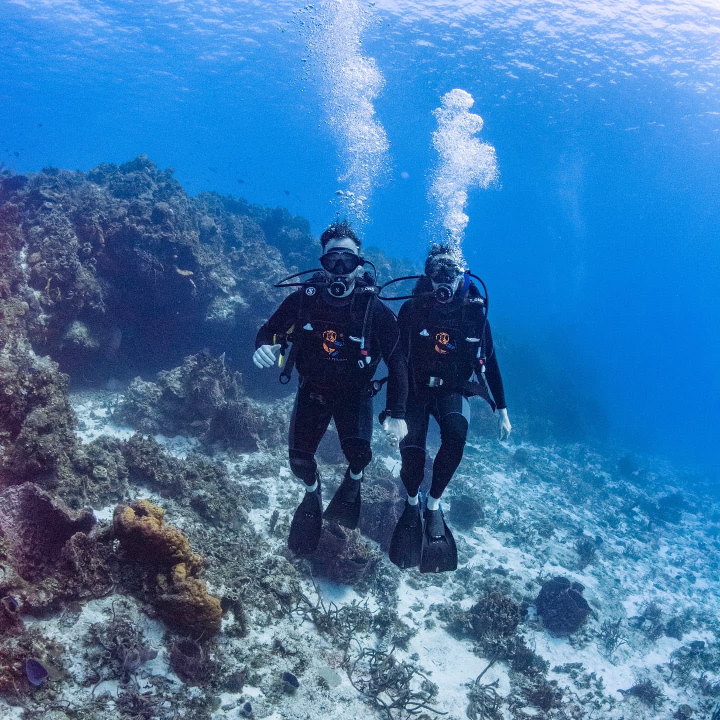 Two scuba divers exploring the reef together in Cozumel