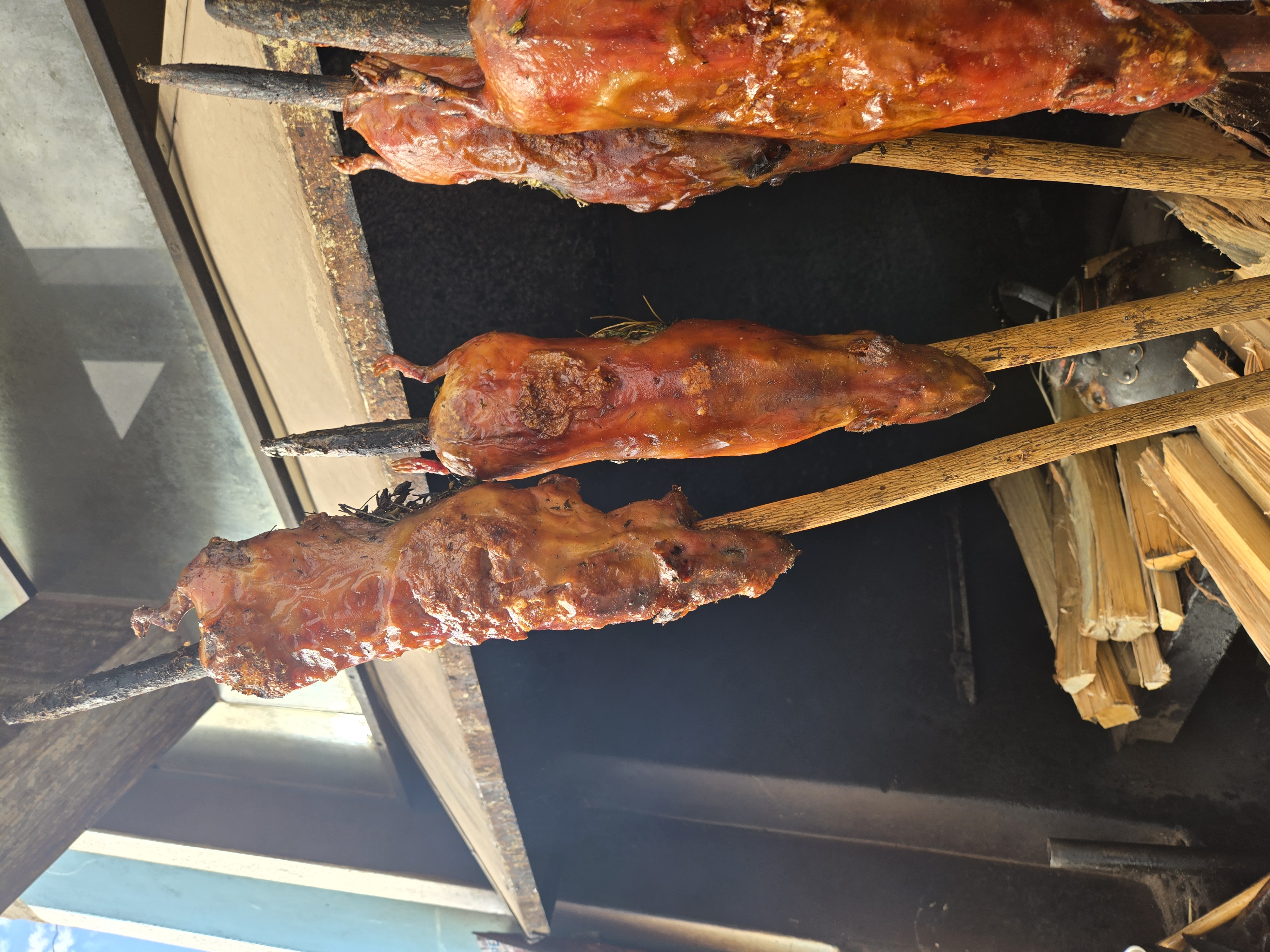 Trying a traditional guinea pig dish in Peru
