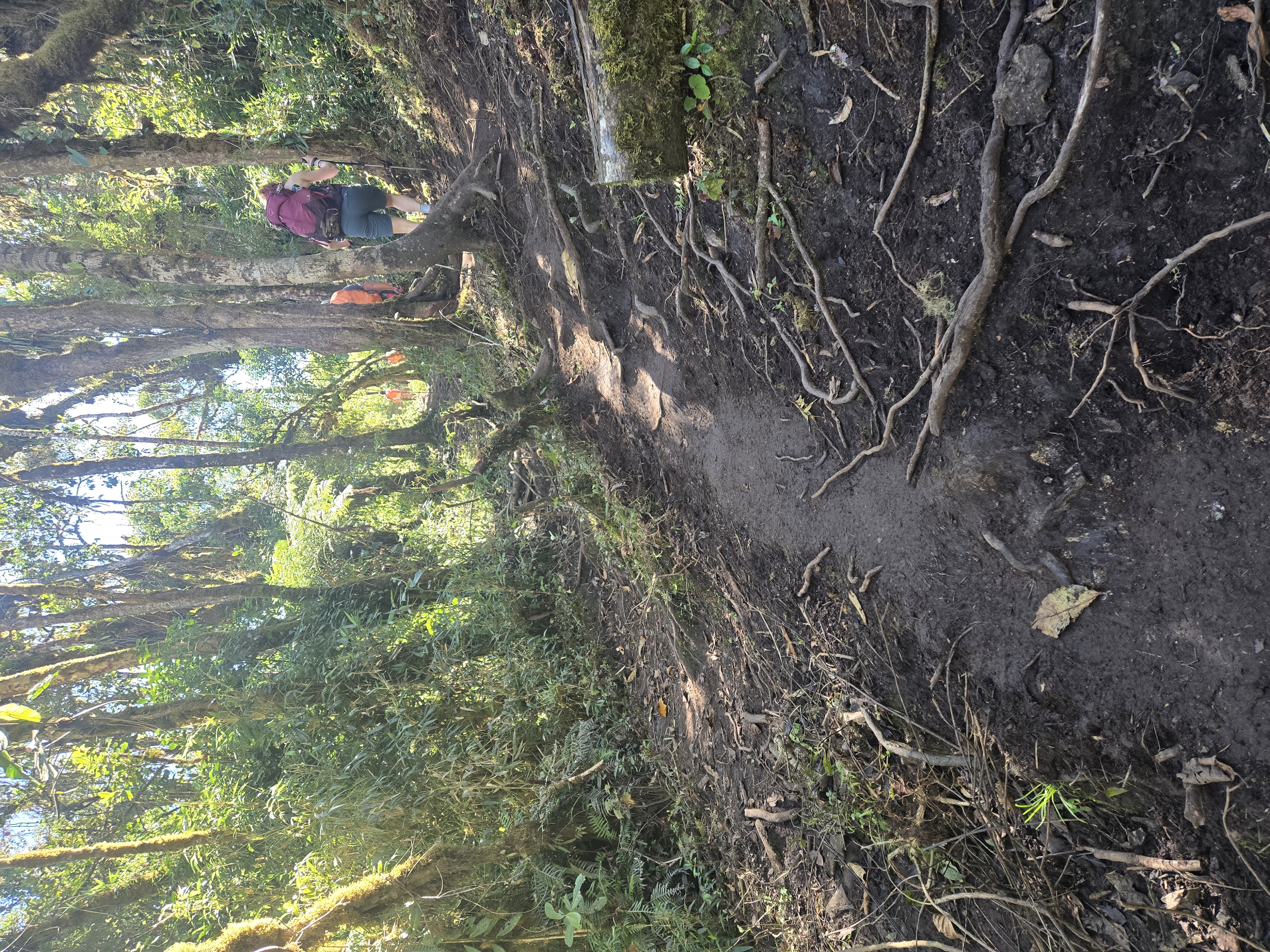 A railway passing through the jungle near the Inca Trail