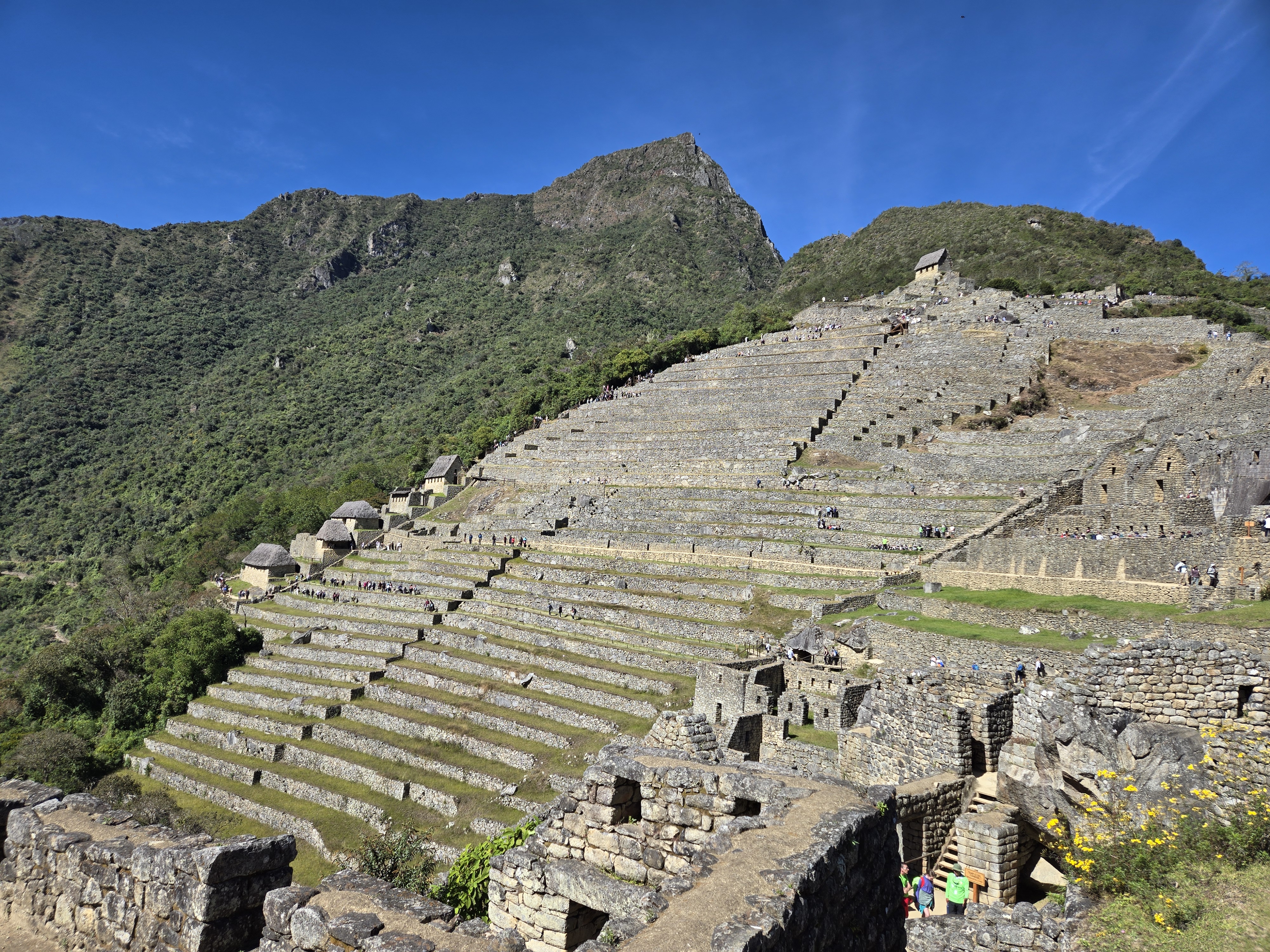 Terraces and stone buildings within Machu Picchu