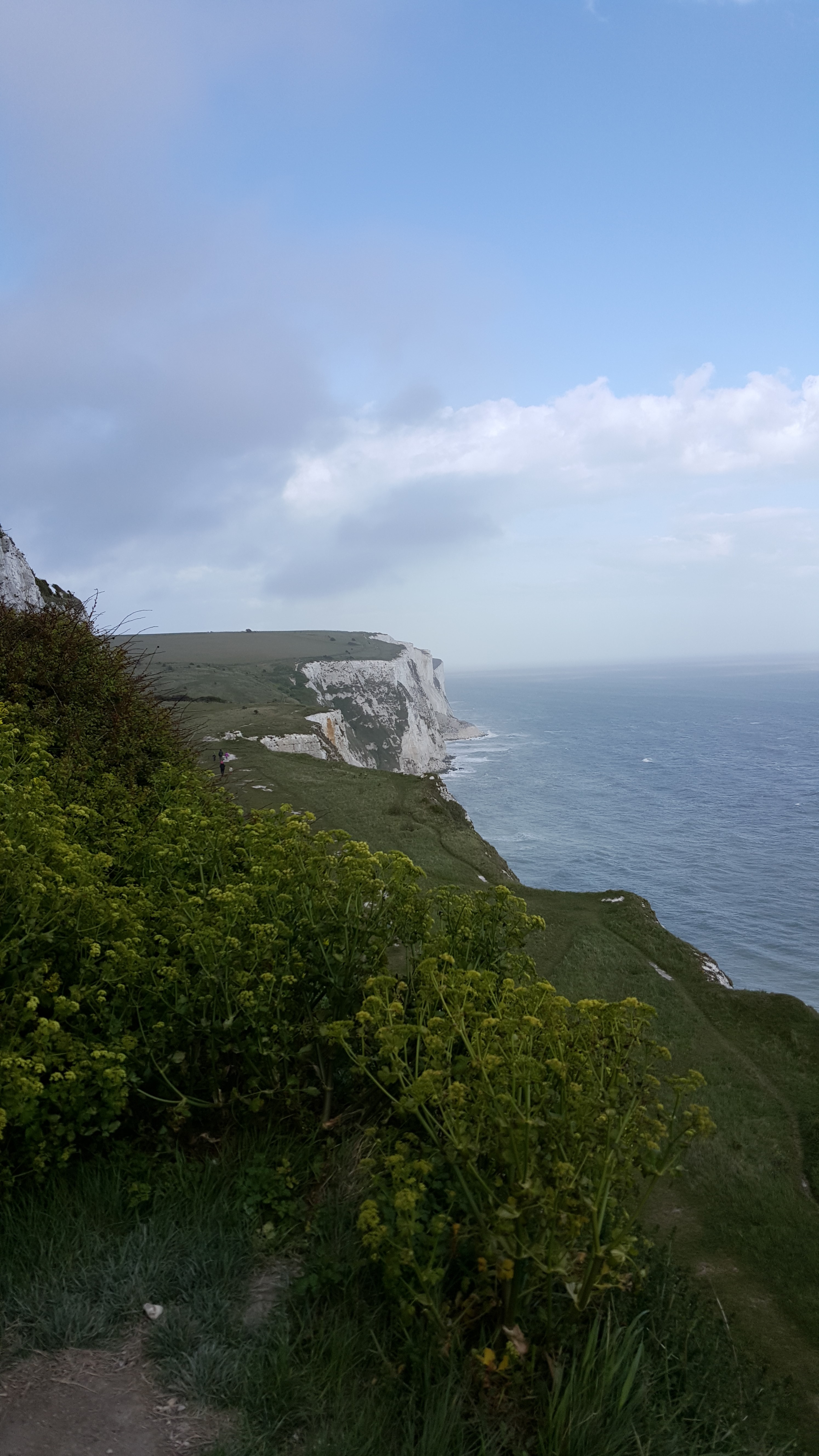 White Cliffs of Dover overlooking the English Channel