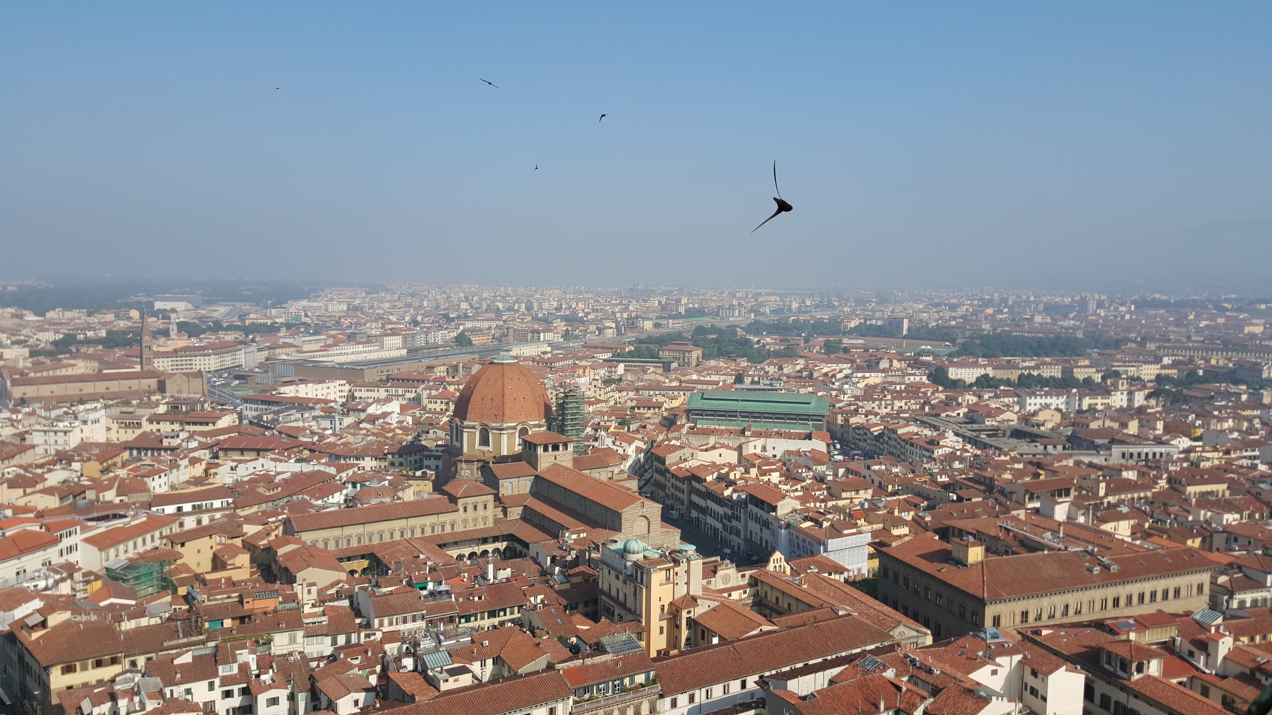 Looking over the Cathedral of Santa Maria del Fiore in Florence