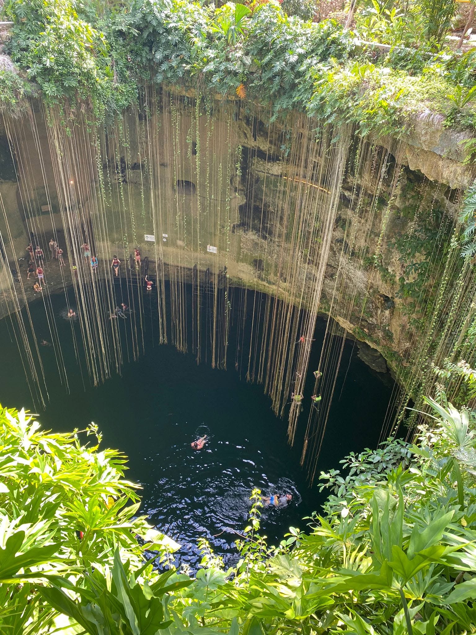 Looking down into the open-air Cenote Ik Kil